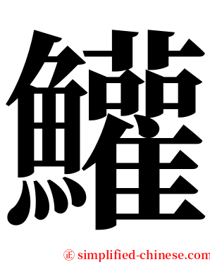 鱹 serif font