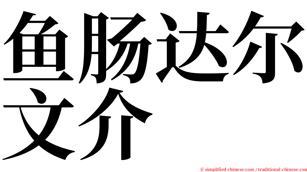 鱼肠达尔文介 serif font
