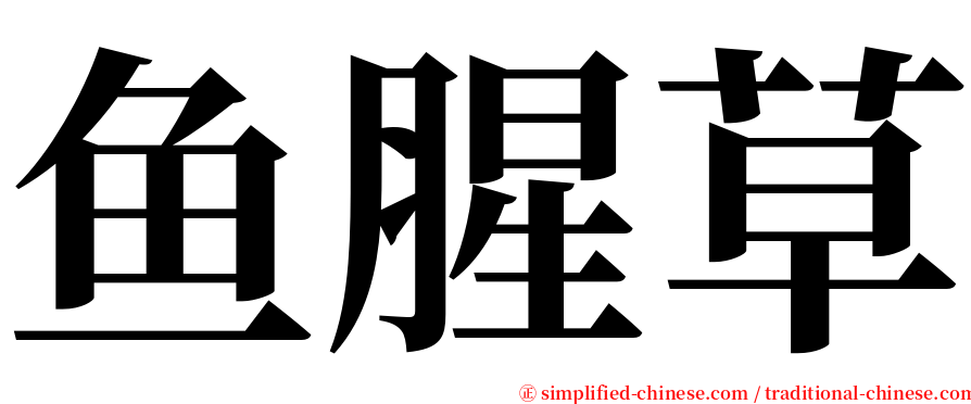 鱼腥草 serif font