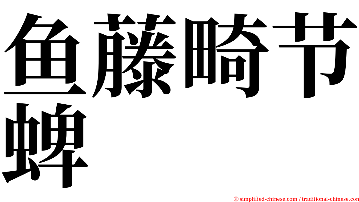 鱼藤畸节蜱 serif font