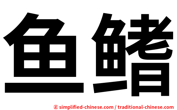 鱼鳍