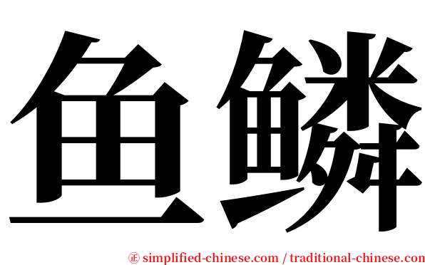 鱼鳞 serif font