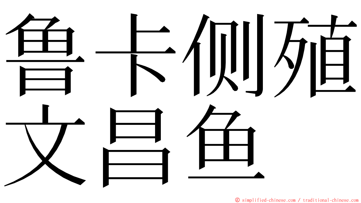 鲁卡侧殖文昌鱼 ming font