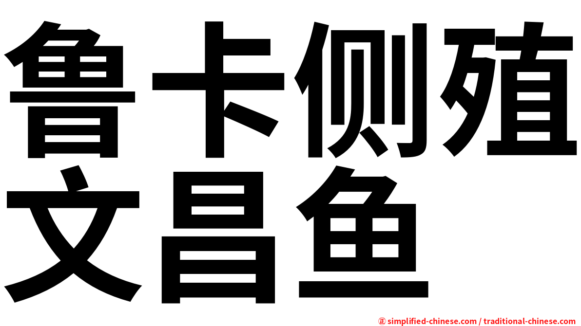 鲁卡侧殖文昌鱼