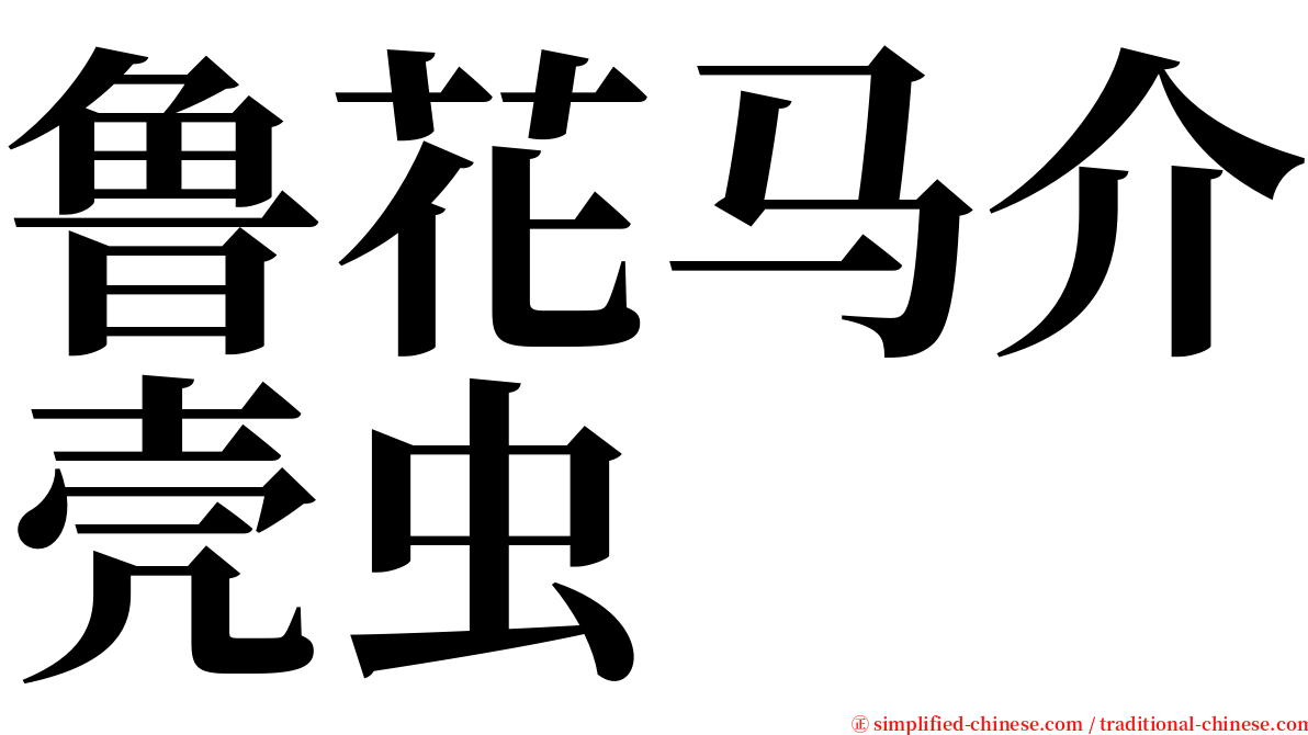 鲁花马介壳虫 serif font