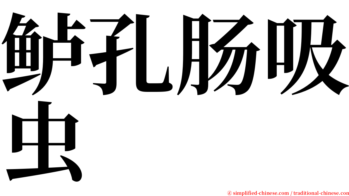 鲈孔肠吸虫 serif font