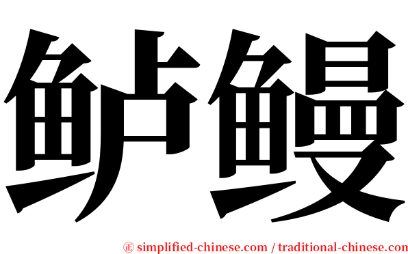 鲈鳗 serif font