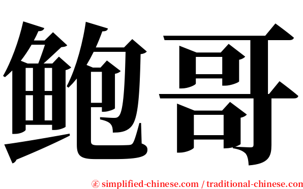 鲍哥 serif font