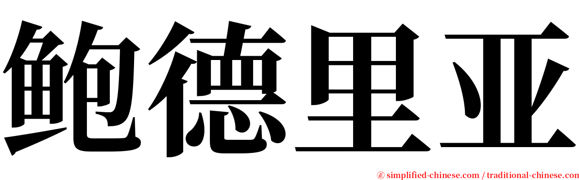 鲍德里亚 serif font