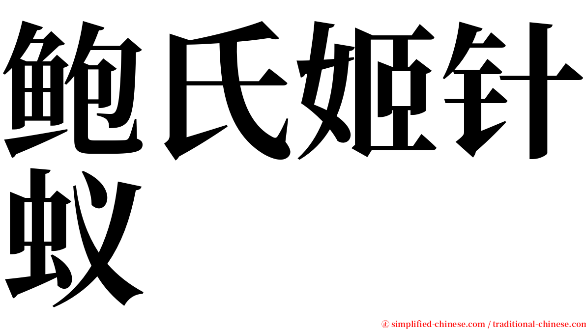 鲍氏姬针蚁 serif font