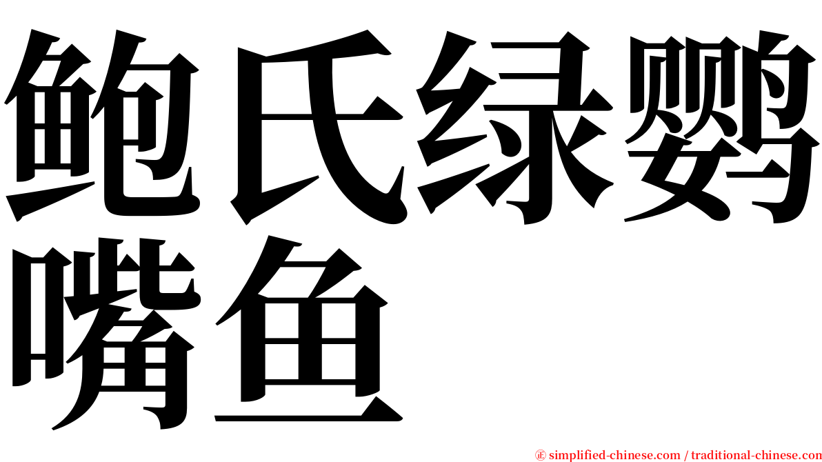 鲍氏绿鹦嘴鱼 serif font