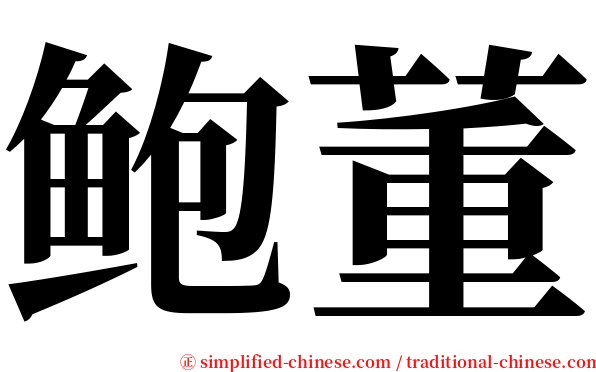 鲍董 serif font