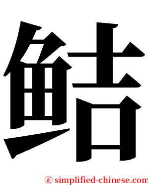 鲒 serif font