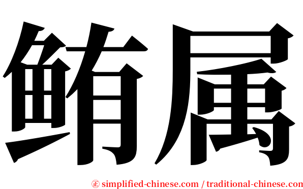 鲔属 serif font