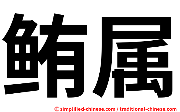 鲔属