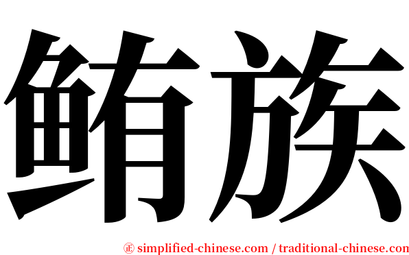 鲔族 serif font