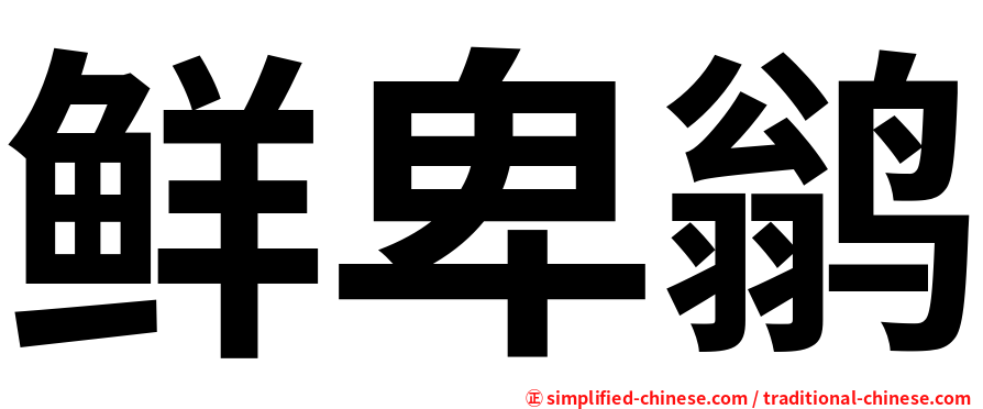 鲜卑鹟