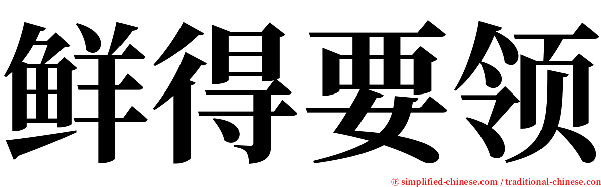 鲜得要领 serif font