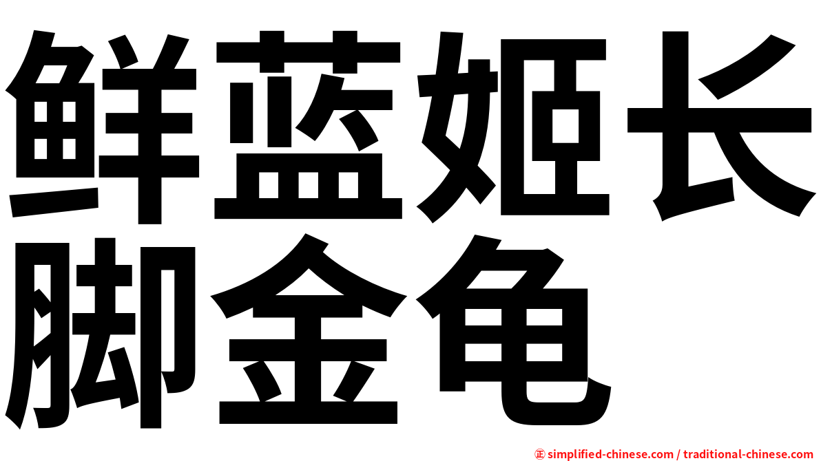 鲜蓝姬长脚金龟