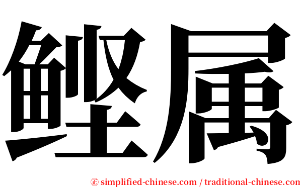 鲣属 serif font