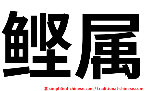 鲣属