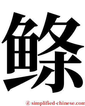 鲦 serif font