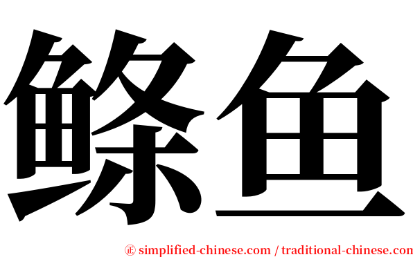 鲦鱼 serif font