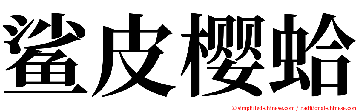 鲨皮樱蛤 serif font