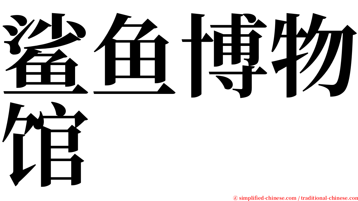 鲨鱼博物馆 serif font