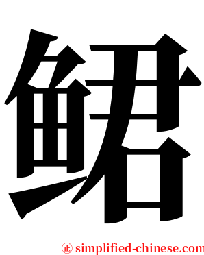 鲪 serif font