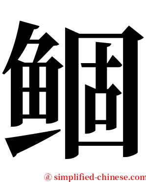 鲴 serif font