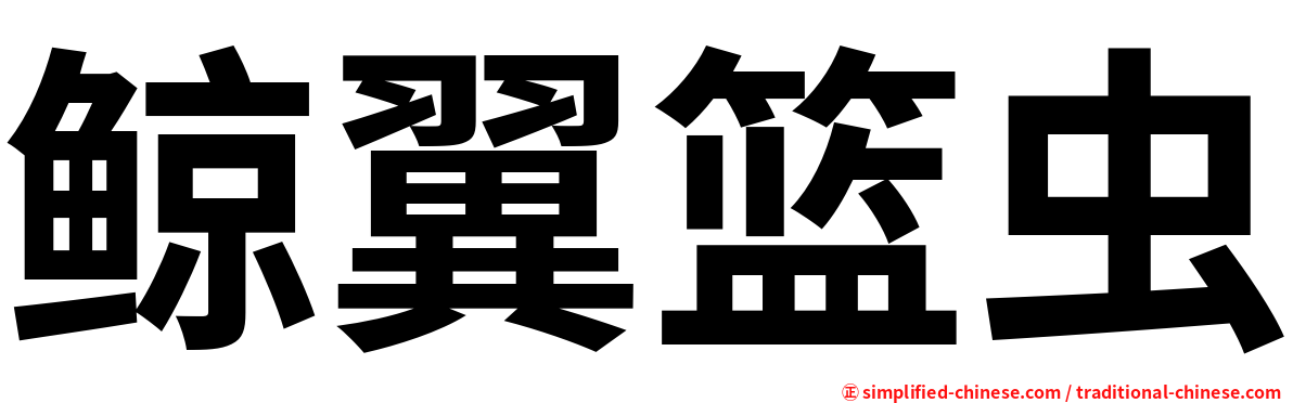 鲸翼篮虫
