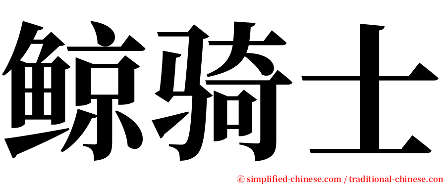 鲸骑士 serif font