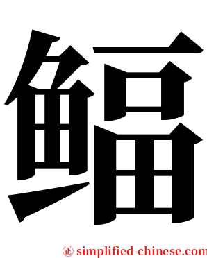 鲾 serif font