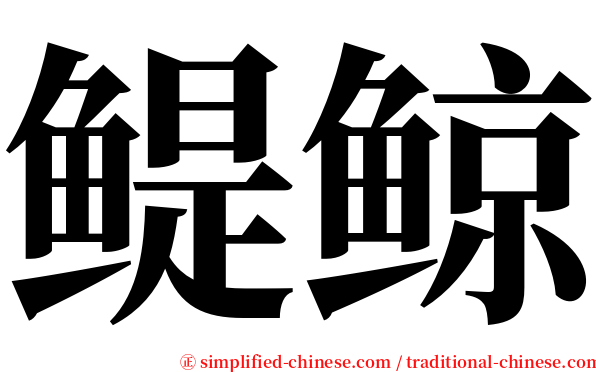 鳀鲸 serif font