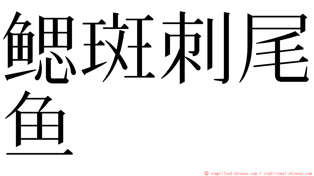 鳃斑刺尾鱼 ming font