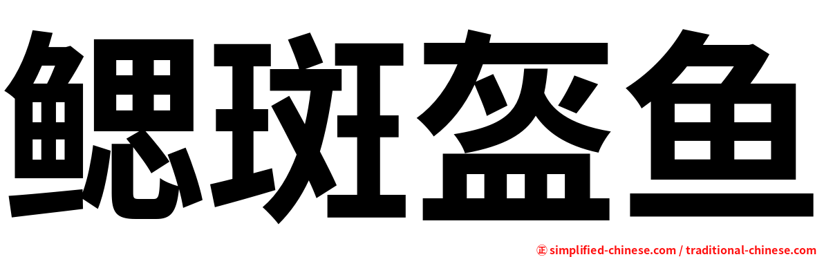 鳃斑盔鱼
