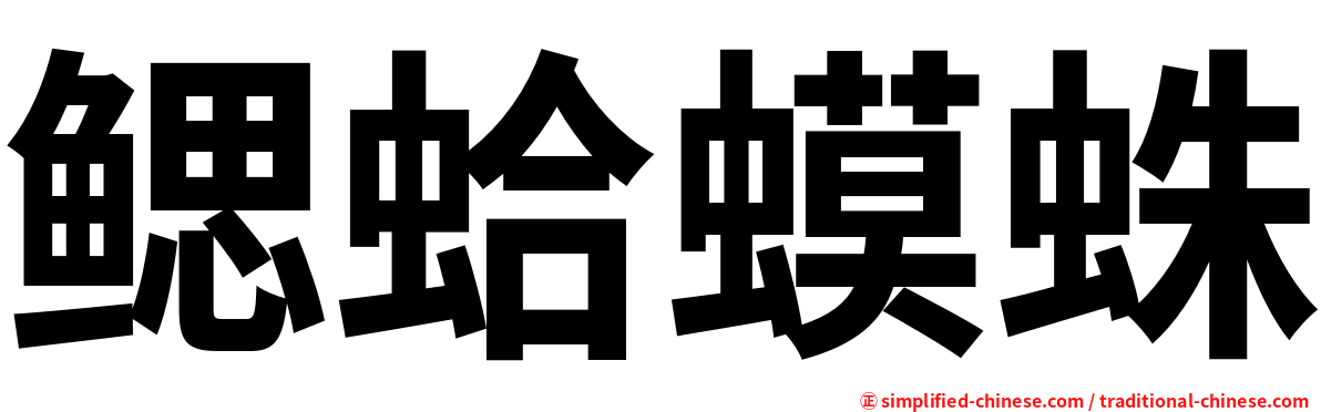 鳃蛤蟆蛛