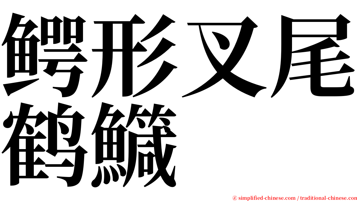 鳄形叉尾鹤鱵 serif font