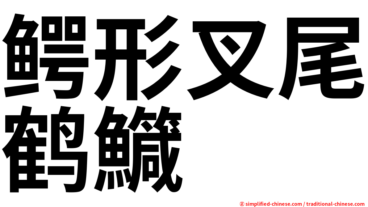 鳄形叉尾鹤鱵