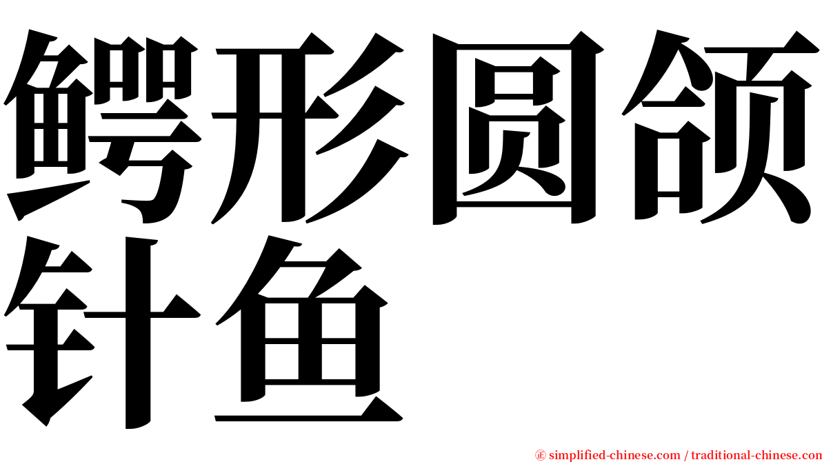 鳄形圆颌针鱼 serif font