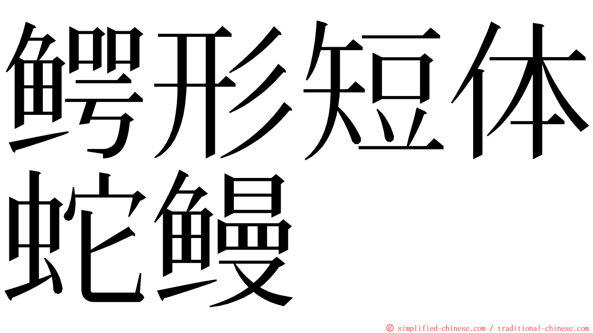 鳄形短体蛇鳗 ming font