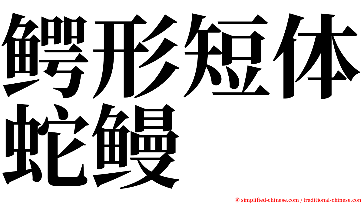 鳄形短体蛇鳗 serif font