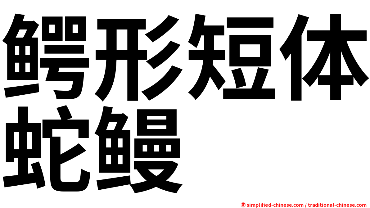 鳄形短体蛇鳗