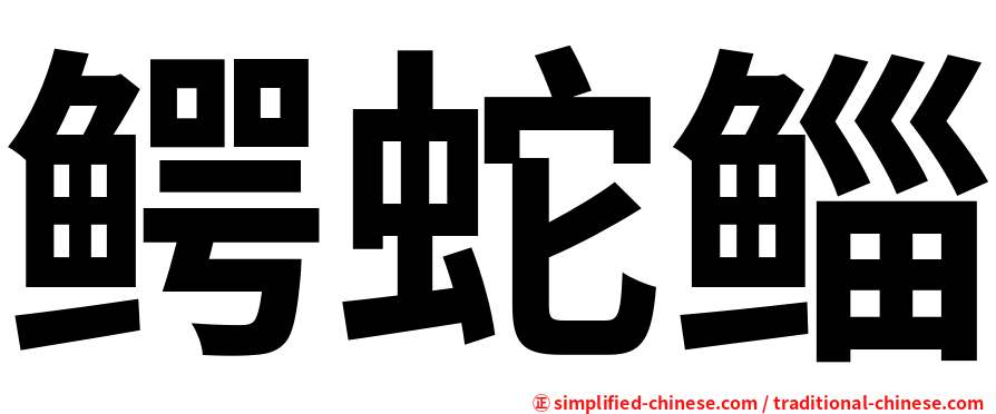 鳄蛇鲻