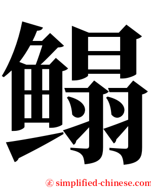 鳎 serif font