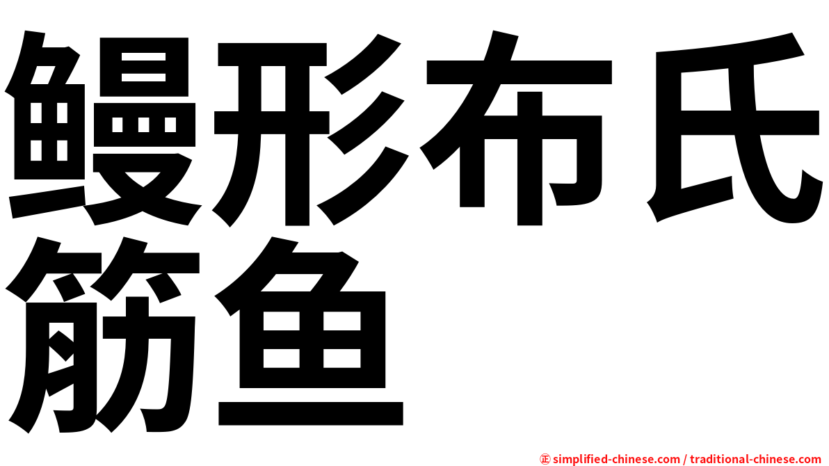 鳗形布氏筋鱼