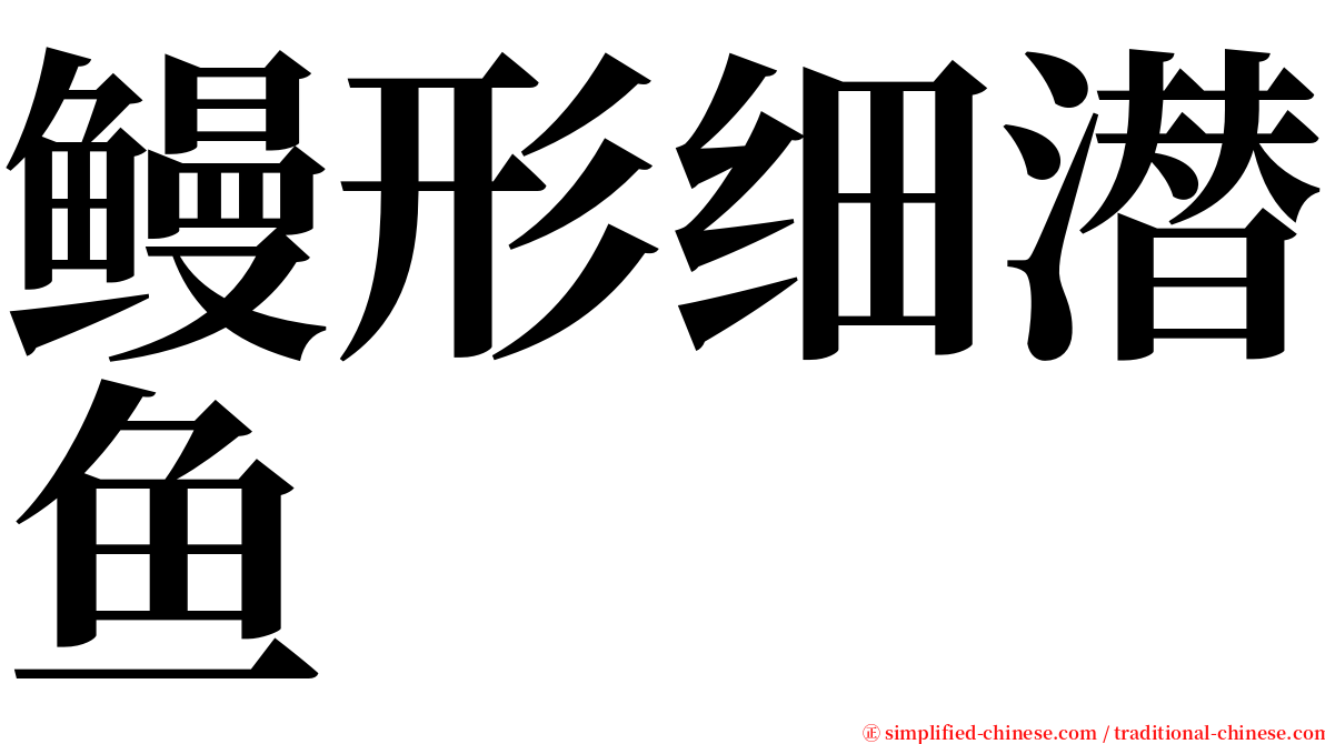 鳗形细潜鱼 serif font