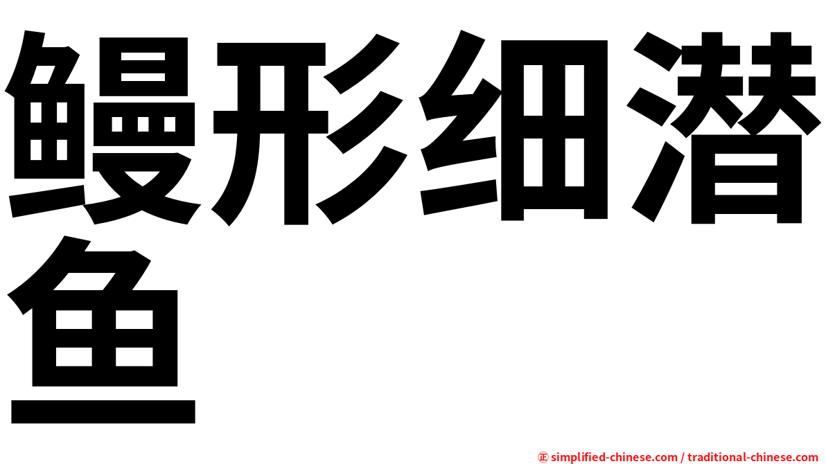 鳗形细潜鱼