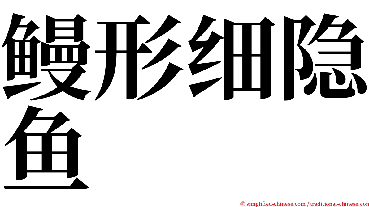 鳗形细隐鱼 serif font